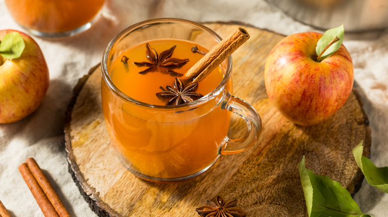 Hot apple cider with cinnamon, cloves, and star anise