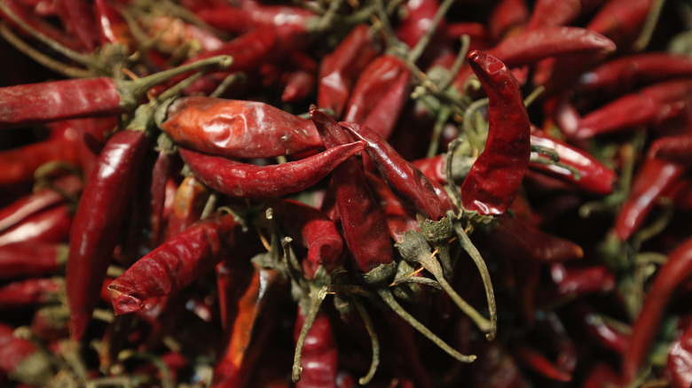 Dried peppers for paprika