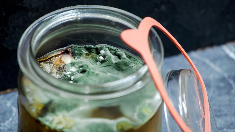 Moldy pickled garlic in jar