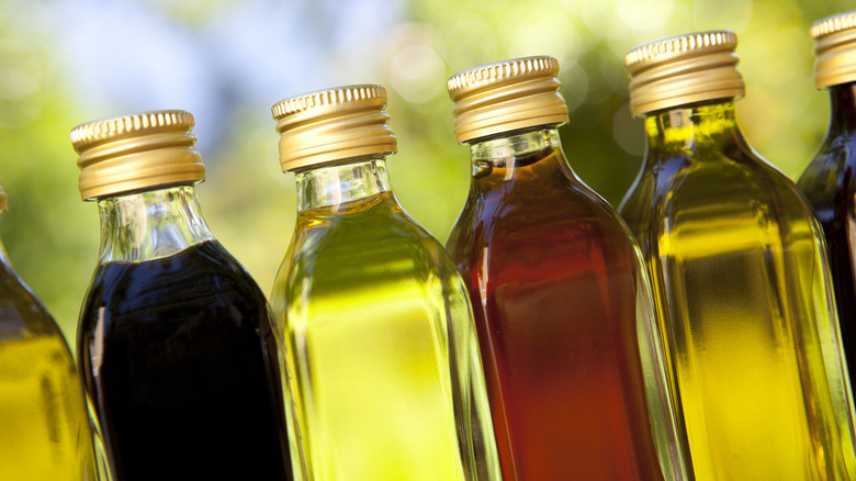 Lineup of various kinds of vinegar bottles