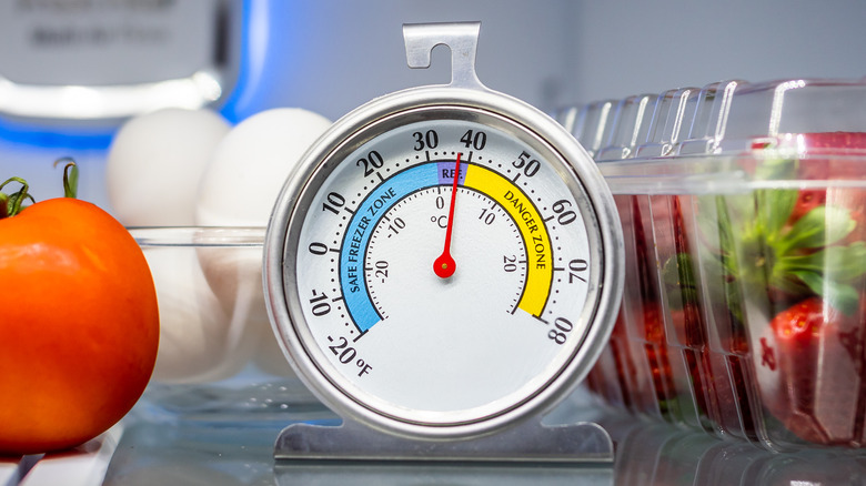 A thermometer sitting on a refrigerator's shelf