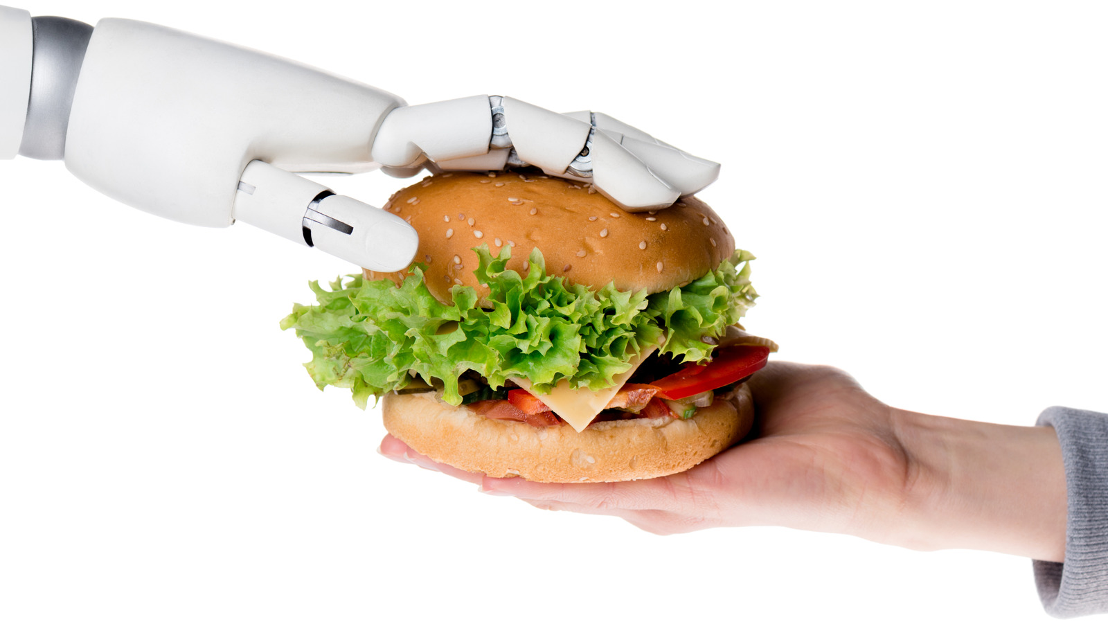 how-many-fast-food-jobs-can-we-actually-give-to-ai