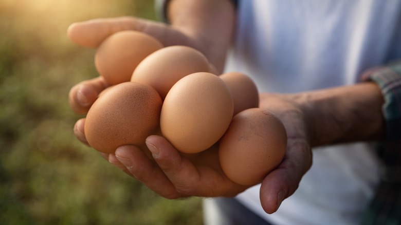 handful of eggs