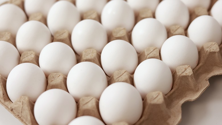carton of a dozen white eggs