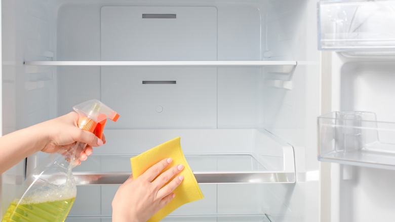 Someone cleaning a freezer