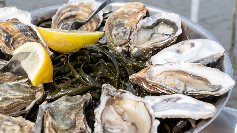 Platter of oysters and lemon