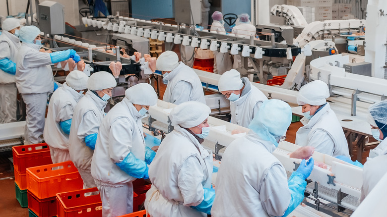 Workers on a factory assembly line