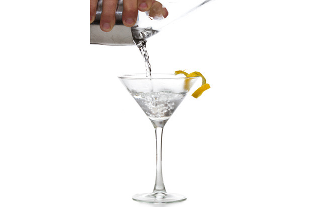 Dry Gin Martini Recipe