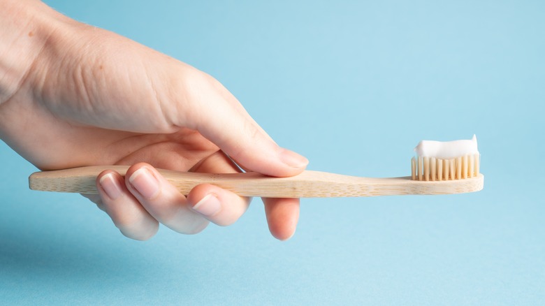 Hand holding a toothbrush