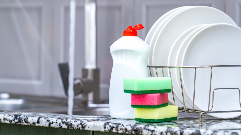 soap, sponges, and plates