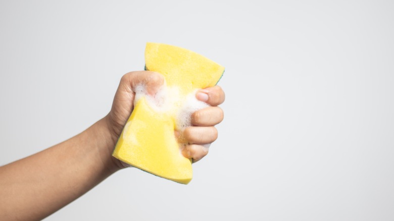 hand holding kitchen sponge