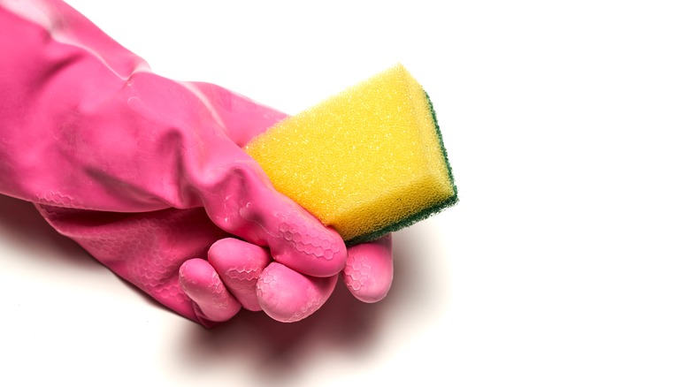 Rubber gloved hand and sponge