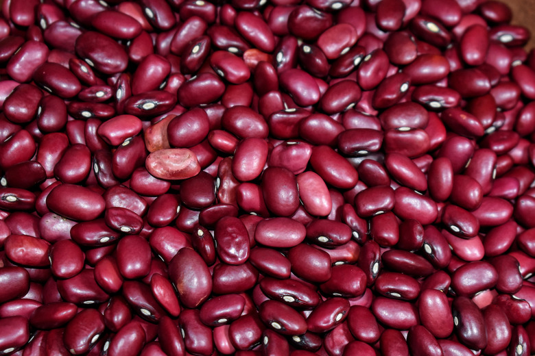 Kidney Beans