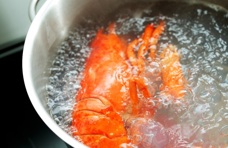 Massachusetts: How to cook lobster