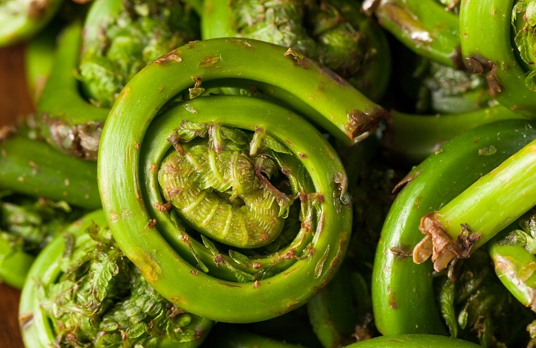 Vermont: How to cook fiddleheads