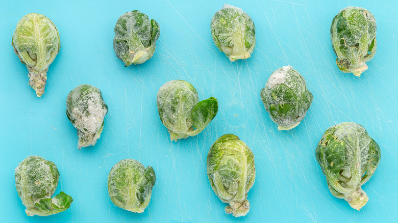 frozen brussels sprouts in rows on blue background