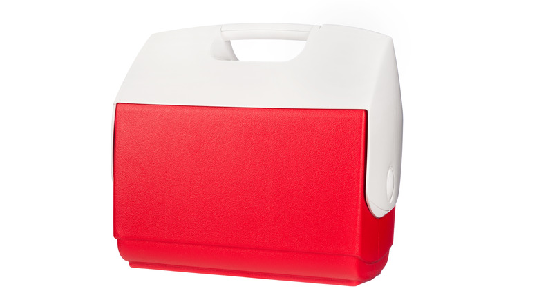 red insulated cooler with lid