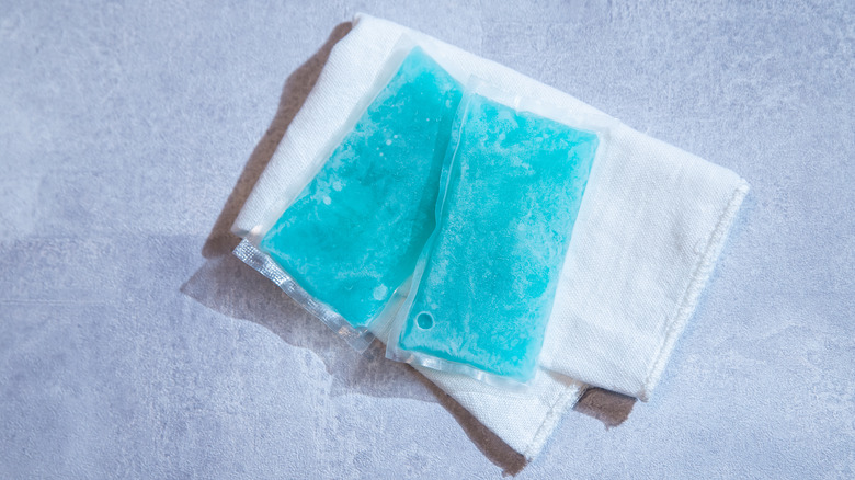 Two meal kit ice packs