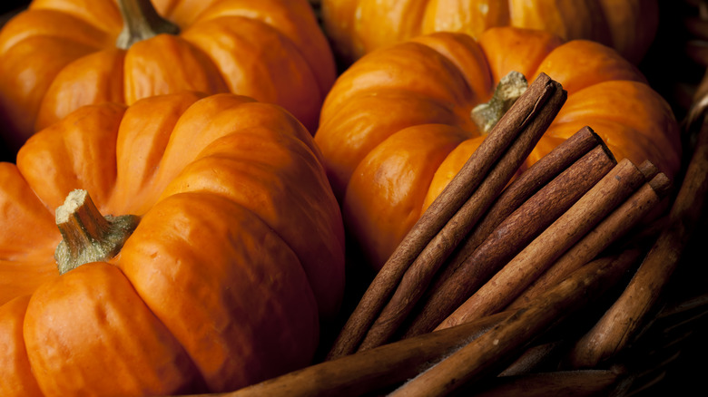 Pumpkins with cinnamon sticks