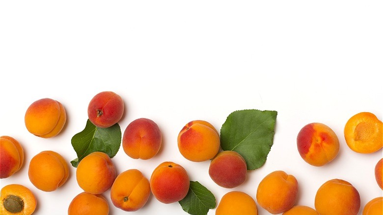 Apricots on white back ground 