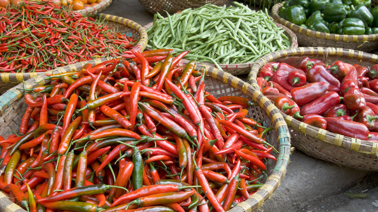 assorted chile peppers