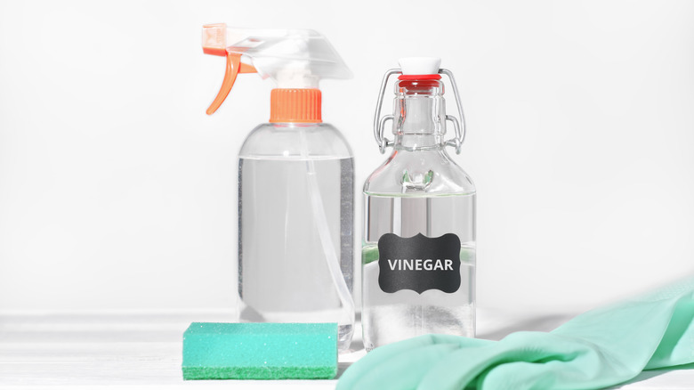 white vinegar for cleaning