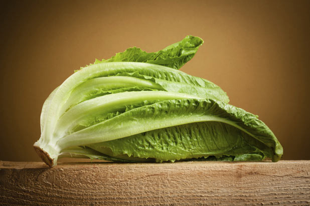 Romaine Lettuce