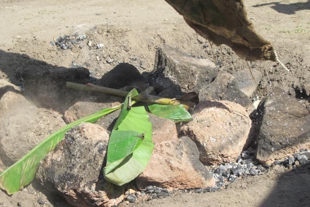 Cover with Banana Leaves