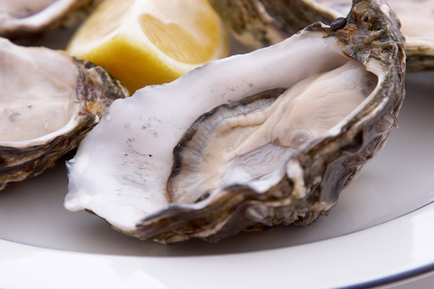 Oysters