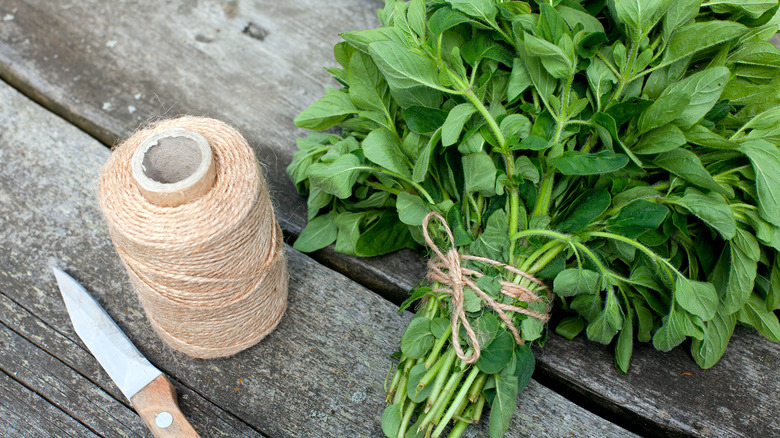 Mint tied up with string prepared for drying