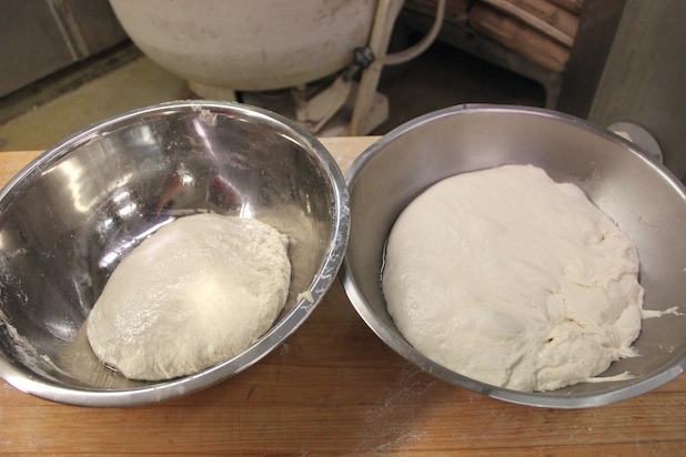 Step 5: The Risen Dough