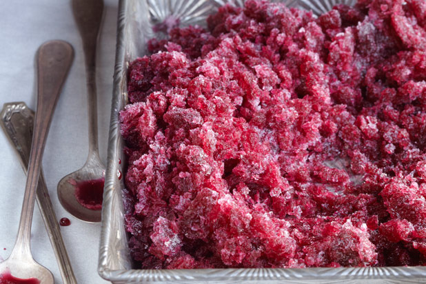 Concord Grape Granita Recipe