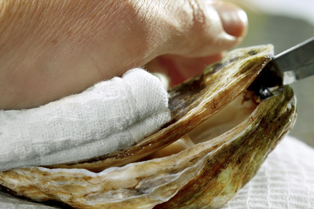 How to Shuck Oysters