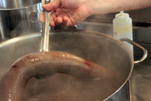 Cooking the Sausage