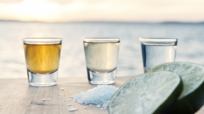 types of tequila in shot glasses