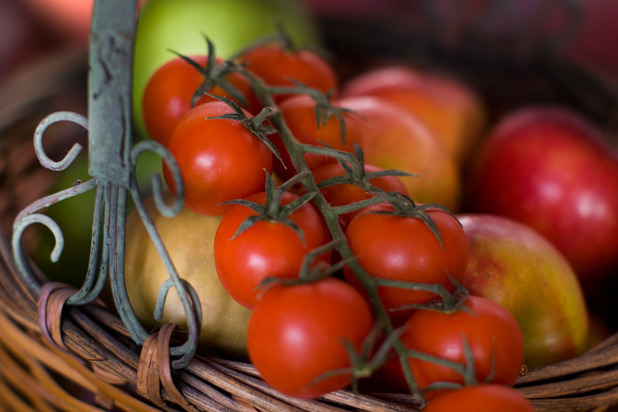 Shallow Baskets