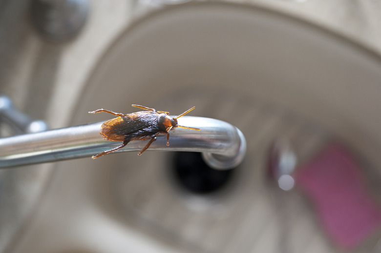 Fix Leaky Faucets