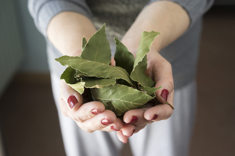 Use Dried Bay Leaves