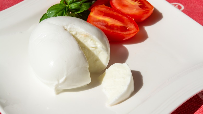 Fresh mozzarella