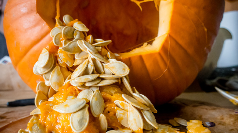 Pumpkin with its seeds