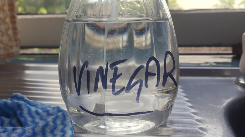 Bottle of white vinegar