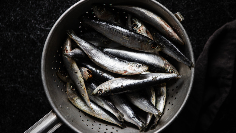 raw fresh sardines in colander