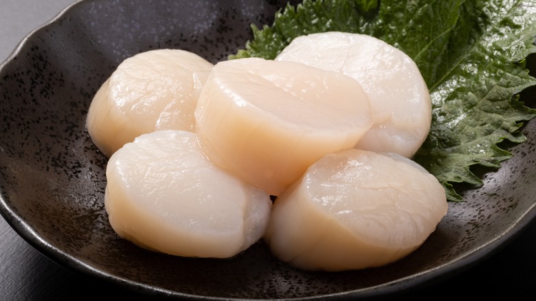 plate of raw scallops