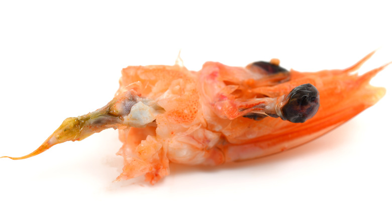 Shrimp head