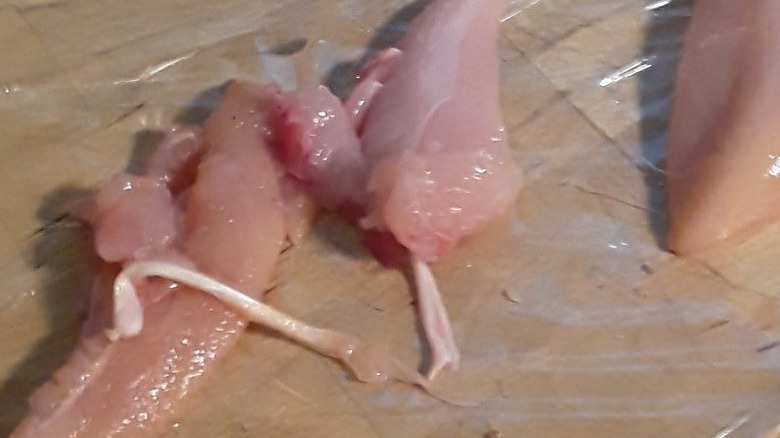 chicken tendons extracted from tenders