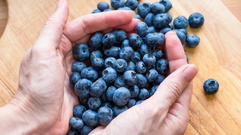 hands holding blueberries