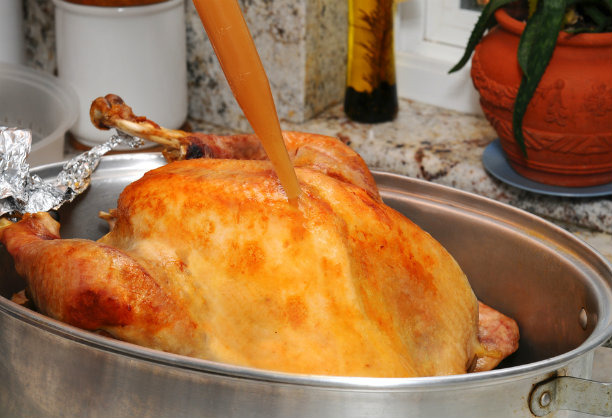 Dry Turkey