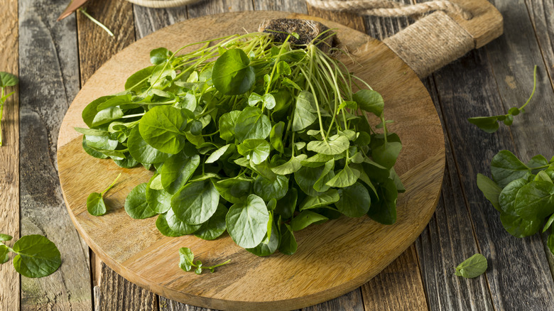 Watercress on a cutting board 