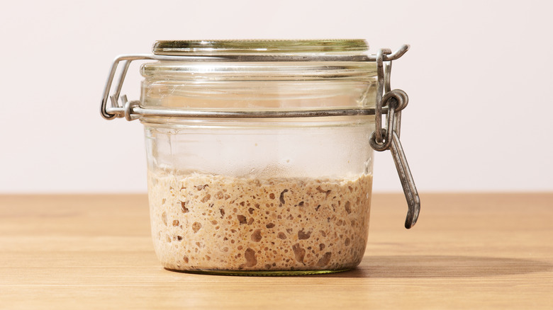 bubbling sourdough starter in jar