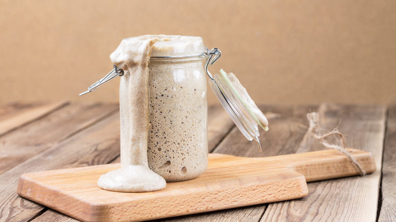 sourdough starter overflowing from jar